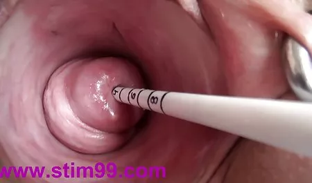 Dakota Skye真实生活POV行动